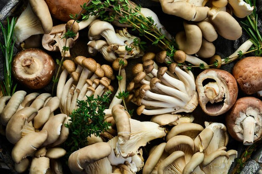 Mushroom on Health 19: Mushroom Medley - Combining Varieties for Health Introduction: