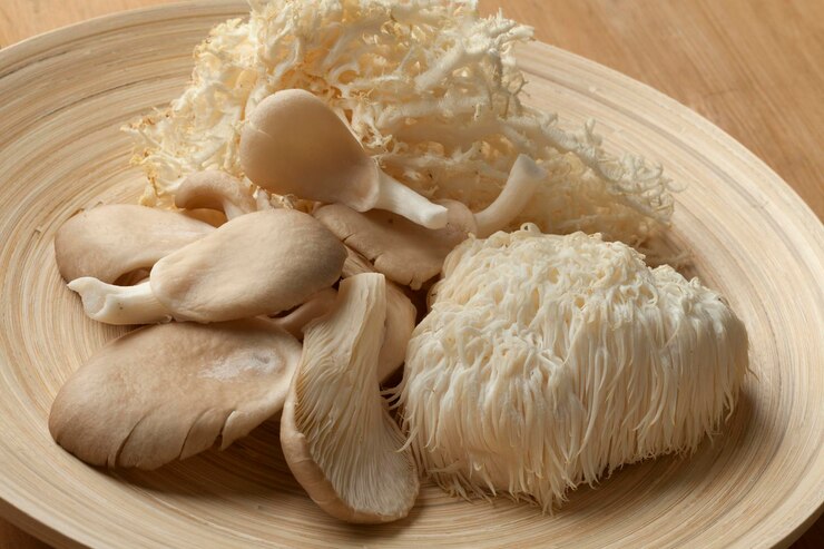 Mushroom on Health 35: Mushroom Adaptogens: Stress Resilience from Nature