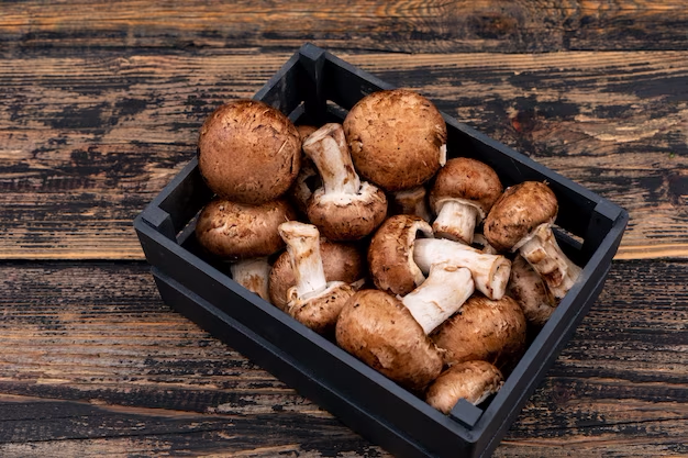 Mushroom on Health 12: Porcini - Savory Flavor and Potential Health Perks